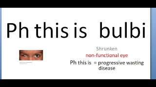 Ophthalmology 166 a PhThisIs Bulbi shrunken eye ball Stages atrophic atrophy causes [upl. by Acenahs]