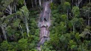 First ever pictures of uncontacted Amazon tribe [upl. by Gabriela]