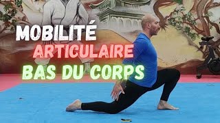 MOBILITE ARTICULAIRE BAS DU CORPS Nouvelle séance ECHAUFFEMENT pour commencer votre entraînement [upl. by Nyrrat]