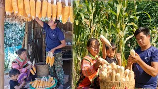 Daily life of a couple who go to harvest some corn for chickens and ducks [upl. by Adnohsirk]