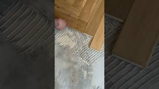 Glue Down Flooring Installation [upl. by Edette]