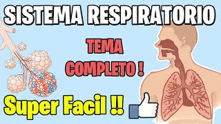 Anatomía y Fisiología del SISTEMA RESPIRATORIO COMPLETO MEJOR EXPLICADO [upl. by Ettenauq]