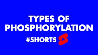 Types of Phosphorylation Shorts 02 shorts [upl. by Timmy821]