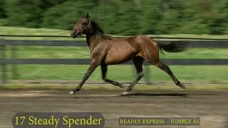 17 Steady Spender [upl. by Selma201]