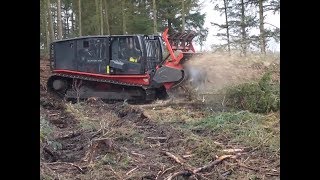 Aufarbeitung einer Windwurffläche mit Entwicklungsziel Heide – Teil 1 Mulchen mit Raptor 300 [upl. by Clabo]