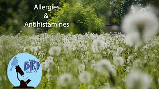 How Allergies and Antihistamines work What is competitive inhibition [upl. by Nolrah]