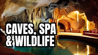 Embark on an Epic Journey Cango Caves Calitzdorp Spa Cango Wildlife [upl. by Arag]