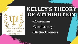 Kelleys theory of attribution [upl. by Rodney]