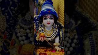 Ladoo Gopal  premanandjimaharaj [upl. by Sanborne]