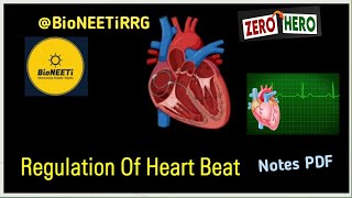 Regulation Of Cardiac Activity  Neural amp Hormonal Regulation  NEET Body Fluids And Circulation [upl. by Rayle]