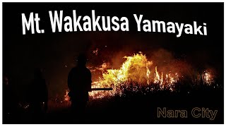 Wakakusa Yamayaki 2024  山焼き  Mountain Burning Festival  Nara  Visit Nara [upl. by Valda790]