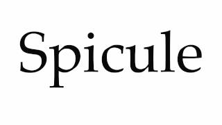 How to Pronounce Spicule [upl. by Rosemary645]