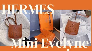 Hermes Mini Evelyne Review  What Fits Inside [upl. by Aisyram]