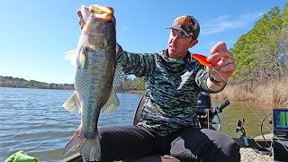 Fishing this Reaction Lure Gets Big Bass Every Year [upl. by Wolfy889]