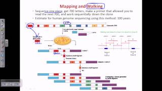 Genome sequencing [upl. by Akitnahs445]