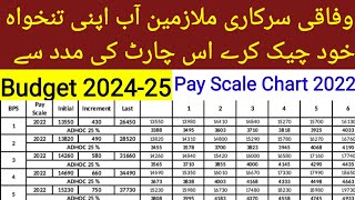 New Latest Pay Scale Chart For Federal Govt Employees Scale 01 to 22 Budget 202425 [upl. by Asiel182]