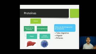 Indicadores metabólicos del perfil hepáticoParte 2 Proteínas totales albúmina y globulinas 16 [upl. by Brittnee336]