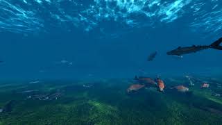 Underwater Fish Stock Footage Video 2  3D Animation [upl. by Ydnih]