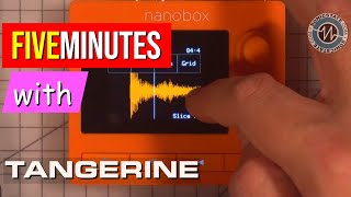 FIVE MINUTES WITH The Tiny 1010music Tangerine Sampler [upl. by Ylirama292]