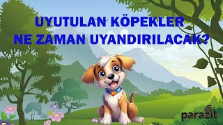 Parazit  Uyutulan Köpekler Ne Zaman Uyandırılacak [upl. by Engleman]