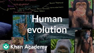 Human evolution overview  Life on earth and in the universe  Cosmology amp Astronomy  Khan Academy [upl. by Zednanref]