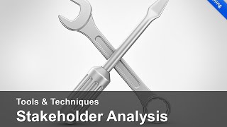 Stakeholder Analysis [upl. by Aikam]