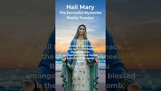 Hail Mary Rosary Prayer  Rosary Tuesday  Sorrowful Mysteries  No Music hailmary catholicprayer [upl. by Seale]