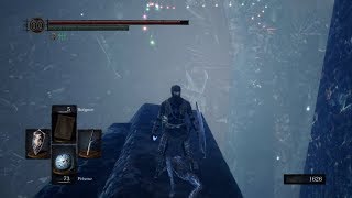 DARK SOULS REMASTERED  Blue Titanite Slab location [upl. by Iniffit469]