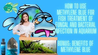 Bonus Tips on How To Use Methylene Blue For Fish Treatment of FungalBacterial Infection In Aquarium [upl. by Aneekat]