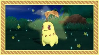 LIVE Shiny Chikorita in Moon after 5037 REs via Island Scan Full odds [upl. by Airamesor684]