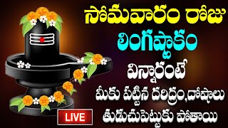 సోమవారం రోజు లింగాష్టకం మీ ఇంట్లో ధ్వనిస్తే మాహా శివుని కృప మీ పై ఉంటుంది [upl. by Jeno898]