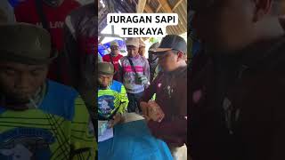 JURAGAN SAPI TERKAYA JAWA TIMUR viral crazyrich shorts orangTerkayaindonesia [upl. by Retxab]