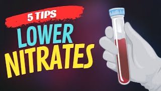 Try These 5 Proven Tips to Lower Nitrates in Your Aquarium [upl. by Goodkin347]