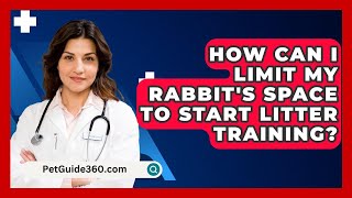 How Can I Limit My Rabbits Space to Start Litter Training  PetGuide360com [upl. by Lawton]