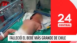 Falleció el bebé más grande de la historia de Chile  24 Horas TVN Chile [upl. by Anhavas298]