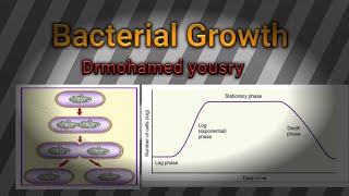 Bacterial growth and bacterial physiology [upl. by Immak]