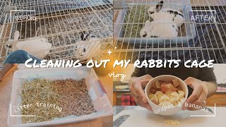 Cleaning my Rabbits Cage  Litter Training  I Wish I knew this Sooner 🤨 [upl. by Ytak]