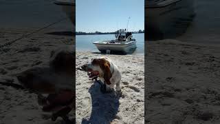 Sunday cruise with the family and Fred mako proskiff 17 [upl. by Bord192]