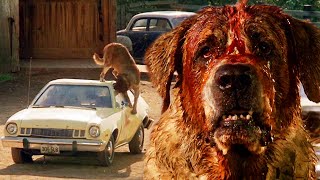 Cujo 1983 movie review Stephen King [upl. by Tala657]