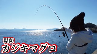 堤防からジグでスマカツオの一本釣りをしていたらカジキマグロがキター（775話目） [upl. by Atekahs]