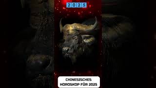 Büffel Chinesisches Horoskop für 2025 [upl. by Esele]