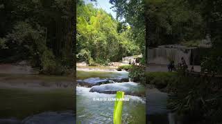 YS Falls  St Elizabeth Jamaica 🇯🇲 visitjamaica stelizabethjamaica [upl. by Manly]