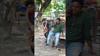 Fake King Cobra Snake Attack  Prank video shortvideo bdbanglafunny01 [upl. by Enaenaj380]