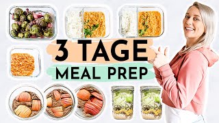 3 TAGE MEAL PREP  Rezepte zum Abnehmen 🍏proteinreich amp schnell [upl. by Vogeley]