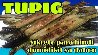 TUPIG  ALAMIN ANG SIKRETO PARA SA MALINAMNAM AT HINDI DUMIDIKIT NA TUPIG SA DAHON NG SAGING [upl. by Eniledam]