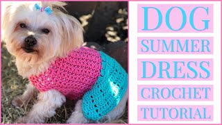 Dog Summer Dress Crochet Tutorial ❀ [upl. by Eicyac]