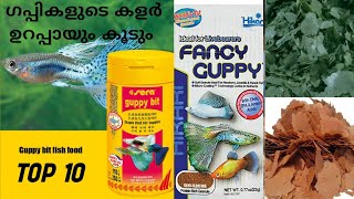 BEST FOOD FOR GUPPYTOP 10 FOODS FOR FANCY GUPPIES [upl. by Maggio]