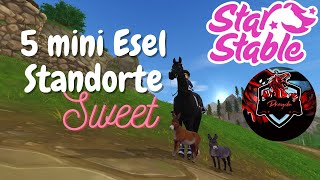 5 mini Esel Standorte Teil 1 StarStable Esel Suche [upl. by Kcirrad697]