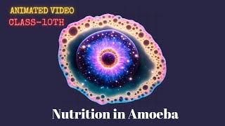 Nutrition in Amoeba Class10 [upl. by Aleira]