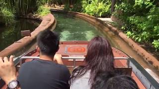 1 day trip at Singapore River Safari on Amazon River Quest boat rides [upl. by Dorahs]